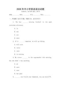 2026年中小學(xué)英語(yǔ)語(yǔ)法試題