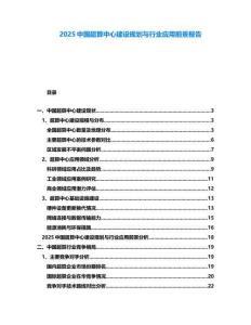 2025中國超算中心建設(shè)規(guī)劃與行業(yè)應(yīng)用前景報(bào)告