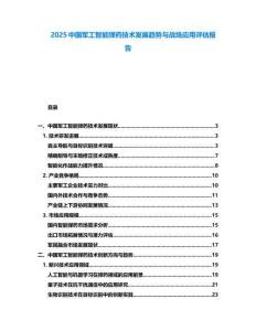 2025中国军工智能弹药技术发展趋势与战场应用评估报告