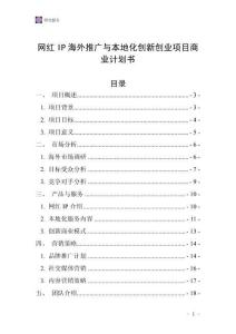 网红IP海外推广与本地化创新创业项目商业计划书