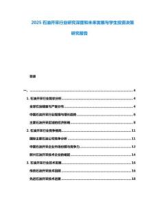 2025石油開采行業(yè)研究深度和未來發(fā)展與學(xué)生投資決策研究報(bào)告
