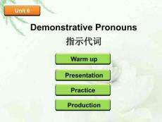 小學(xué)語(yǔ)法  指示代詞