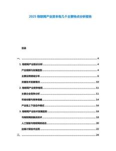 2025物聯(lián)網(wǎng)產(chǎn)業(yè)資本有幾個(gè)主要特點(diǎn)分析報(bào)告