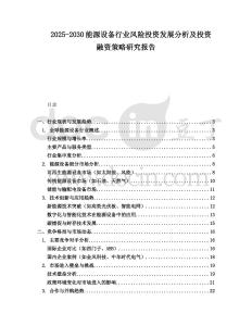 2025-2030能源設備行業(yè)風險投資發(fā)展分析及投資融資策略研究報告