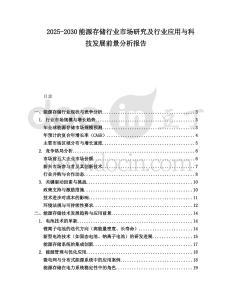 2025-2030能源存儲行業市場研究及行業應用與科技發展前景分析報告