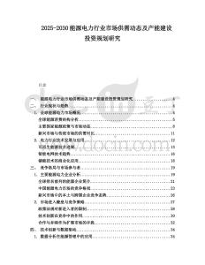 2025-2030能源電力行業市場供需動態及產能建設投資規劃研究