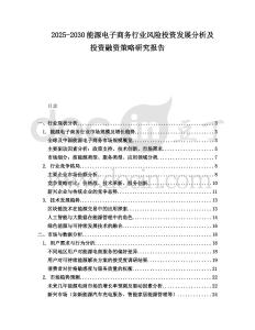 2025-2030能源電子商務行業(yè)風險投資發(fā)展分析及投資融資策略研究報告