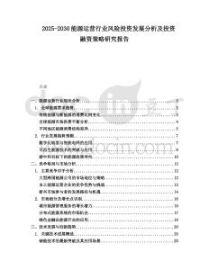 2025-2030能源運營行業(yè)風險投資發(fā)展分析及投資融資策略研究報告