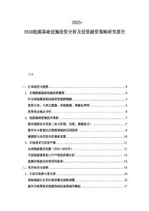 2025-2030能源基礎設施投資分析及投資融資策略研究報告