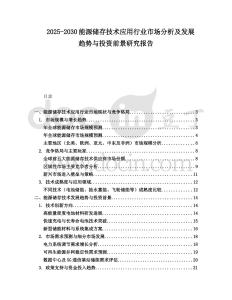 2025-2030能源儲存技術應用行業市場分析及發展趨勢與投資前景研究報告