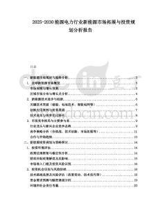 2025-2030能源電力行業新能源市場拓展與投資規劃分析報告
