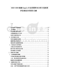 2025-2030能源Supply行業(yè)供需樣本分析計劃投資評估規(guī)劃分析報告文獻