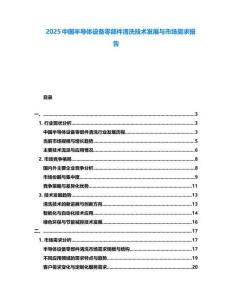 2025中國半導(dǎo)體設(shè)備零部件清洗技術(shù)發(fā)展與市場需求報告