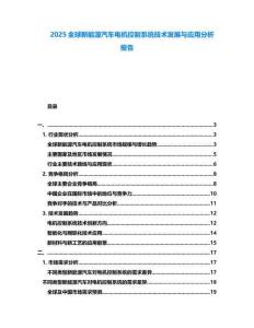 2025全球新能源汽車電機(jī)控制系統(tǒng)技術(shù)發(fā)展與應(yīng)用分析報告
