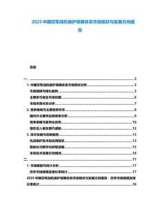 2025中國空軍戰(zhàn)機維護保障體系市場現(xiàn)狀與發(fā)展方向報告