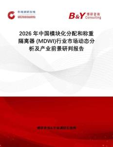 2026年中國模塊化分配和稱重隔離器 (MDWI)行業(yè)市場動態(tài)分析及產(chǎn)業(yè)前景研判報告