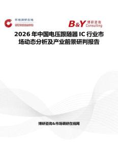 2026年中國電壓跟隨器IC行業(yè)市場動態(tài)分析及產(chǎn)業(yè)前景研判報告