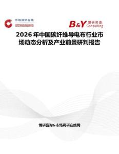 2026年中國(guó)碳纖維導(dǎo)電布行業(yè)市場(chǎng)動(dòng)態(tài)分析及產(chǎn)業(yè)前景研判報(bào)告