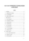 2025-2030年影像投影儀行業跨境出海戰略分析研究報告