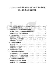 2025-2030中國計算機軟件開發(fā)行業(yè)市場現(xiàn)狀供需探討及投資布局規(guī)劃大綱