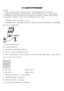 2026届西宁市中考物理模试卷（含答案解析）