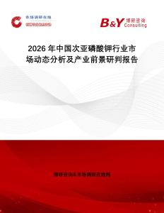 2026年中國次亞磷酸鉀行業(yè)市場動態(tài)分析及產(chǎn)業(yè)前景研判報告