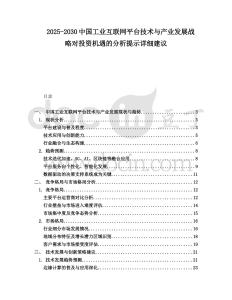 2025-2030中國工業(yè)互聯(lián)網(wǎng)平臺技術(shù)與產(chǎn)業(yè)發(fā)展戰(zhàn)略對投資機遇的分析提示詳細建議