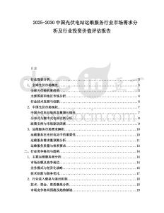 2025-2030中國光伏電站運維服務行業(yè)市場需求分析及行業(yè)投資價值評估報告