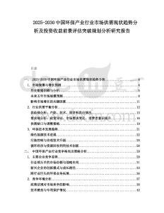 2025-2030中國環(huán)保產業(yè)行業(yè)市場供需現(xiàn)狀趨勢分析及投資收益前景評估突破規(guī)劃分析研究報告