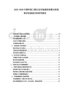 2025-2030中國環(huán)保工程行業(yè)市場現(xiàn)狀供需分析投資評估規(guī)劃分析研究報(bào)告
