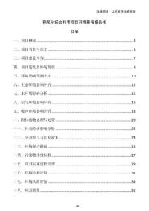 銅尾砂綜合利用項目環境影響報告書