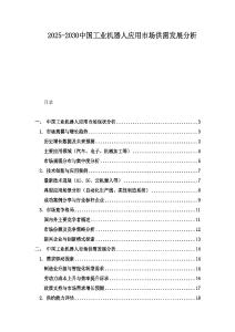 2025-2030中國(guó)工業(yè)機(jī)器人應(yīng)用市場(chǎng)供需發(fā)展分析