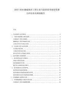 2025-2030挪威海洋工程行業(yè)當(dāng)前供需考察投資潛力評(píng)估布局規(guī)劃報(bào)告