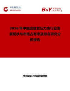 2026年中國波登管壓力表行業(yè)發(fā)展現(xiàn)狀與市場占有率及排名研究分析報告