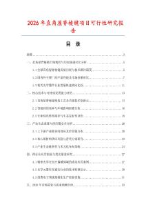2026年直角屋脊棱鏡項目可行性研究報告