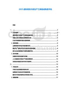 2025虚拟现实内容生产工具链成熟度评估