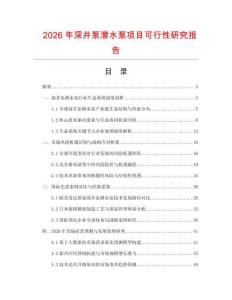 2026年深井泵潛水泵項(xiàng)目可行性研究報(bào)告