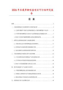 2026年車載單腳吸盤項(xiàng)目可行性研究報(bào)告