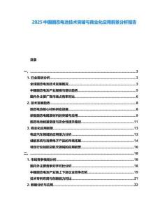 2025中國(guó)固態(tài)電池技術(shù)突破與商業(yè)化應(yīng)用前景分析報(bào)告