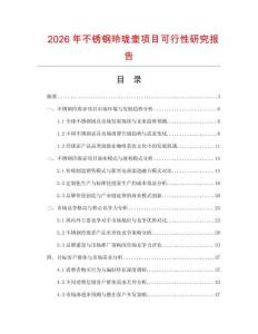 2026年不銹鋼玲瓏壺項目可行性研究報告