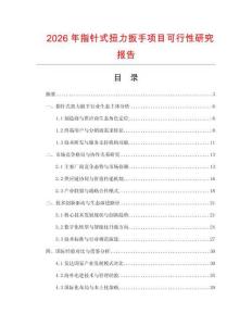 2026年指針式扭力扳手項目可行性研究報告