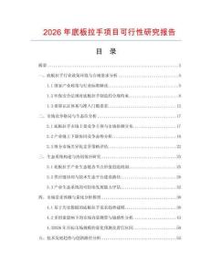 2026年底板拉手項(xiàng)目可行性研究報(bào)告
