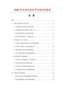 2026年水準尺項目可行性研究報告