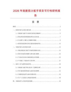 2026年刻度扭力扳手項(xiàng)目可行性研究報(bào)告