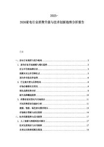 2025-2030家電行業(yè)消費(fèi)升級(jí)與技術(shù)創(chuàng)新趨勢(shì)分析報(bào)告