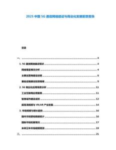 2025中國(guó)5G通信網(wǎng)絡(luò)建設(shè)與商業(yè)化發(fā)展前景報(bào)告