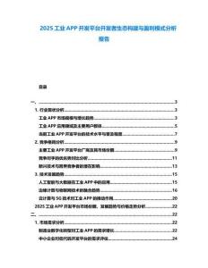 2025工業(yè)APP開發(fā)平臺(tái)開發(fā)者生態(tài)構(gòu)建與盈利模式分析報(bào)告