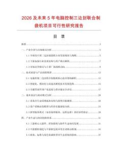 2026及未來5年電腦控制三邊封聯合制袋機項目可行性研究報告
