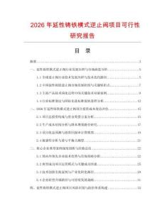 2026年延性鑄鐵橫式逆止閥項(xiàng)目可行性研究報(bào)告
