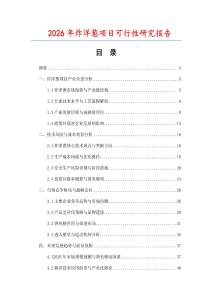 2026年炸洋蔥項目可行性研究報告